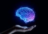 A digital representation of a brain hovering above an open hand