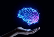 A digital representation of a brain hovering above an open hand