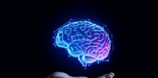 A digital representation of a brain hovering above an open hand