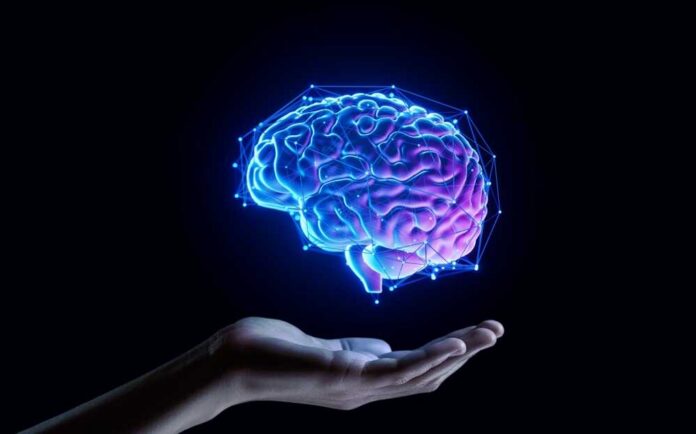 shutterstock_2481678871.jpg A digital representation of a brain hovering above an open hand
