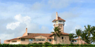 A large historic mansion with a tower surrounded by palm trees and greenery