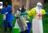 New Ebola outbreak has killed 65 people in a remote Congo province
