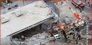 Central Seoul overpass collapses during demolition work