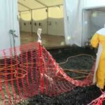 Ebola Containment – Will CDC’s Gamble Work? Ebola outbreak triggers global travel bans, US quarantine plan