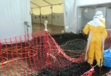 Ebola outbreak triggers global travel bans, US quarantine plan