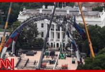White House UFC: Who Stuffed The Crowd? Why is there a UFC cage on the White House lawn?