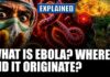Ebola Flare-Up Reveals Broken Global Systems Ebola Explained: Origin, Spread And Why The Deadly Virus Still Terrifies The World