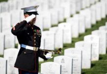 DNC’s Distasteful Post Vanishes After Backlash A soldier in uniform saluting in a military cemetery with white gravestones in the background