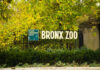 Sign for Bronx Zoo surrounded by autumn foliage