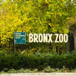 Sign for Bronx Zoo surrounded by autumn foliage