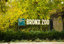 Sign for Bronx Zoo surrounded by autumn foliage