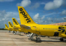Yellow Spirit Airlines planes parked at the airport.