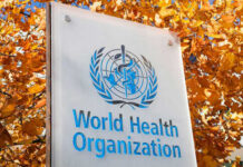 World Health Organization sign with autumn leaves background