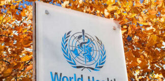 World Health Organization sign with autumn leaves background