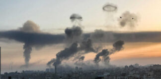 City skyline with rising smoke and birds in sky.