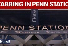 Commuter Mayhem: Penn Station Turns Deadly Several hurt in possible Penn Station stabbing