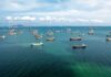 Trump’s Iran Gamble: Sanctions Meltdown? Aerial view of numerous cargo ships anchored in a blue ocean