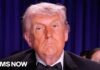 Freedom of the Press? 500 journalists sign letter calling for action amid attacks by Trump