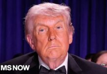 Dinner Speech Rekindles Trump-Media Showdown Freedom of the Press? 500 journalists sign letter calling for action amid attacks by Trump
