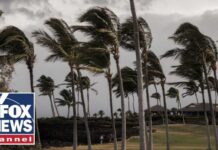 Paradise Takes A Pounding As Storm Moves Through BREAKING: Hurricane Lala HAMMERS Hawaii with rain, winds