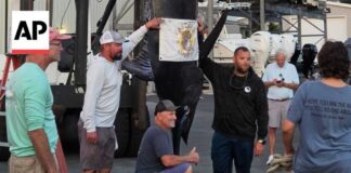 Man catches 1,260-pound blue marlin believed to be East Coast's largest catch