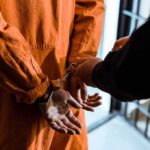 Sacramento’s Parole Change Is Raising Eyebrows Prisoner in orange jumpsuit handcuffed by officer
