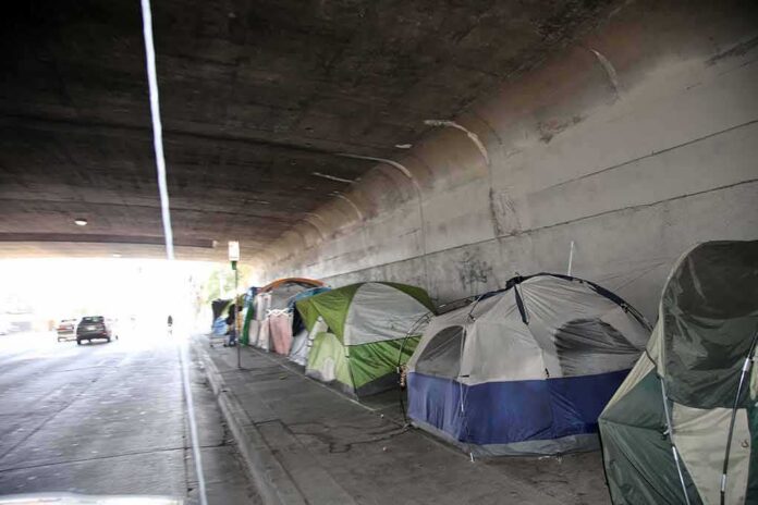Tents lined up under a concrete overpass