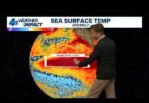 Hurricane season will likely set record for latest first hurricane