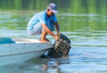 Fisherman retrieving a crab trap from the water beside a small boat
