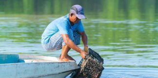Fisherman retrieving a crab trap from the water beside a small boat