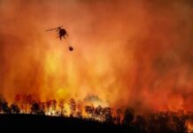 Wind-Driven Flames Trap Resort Guests Helicopter fights massive wildfire over burning forest