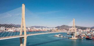 Cable-stayed bridge spanning a harbor with city skyline and mountains