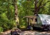 travel trailer parked at a wooded campsite