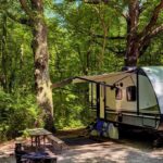 travel trailer parked at a wooded campsite