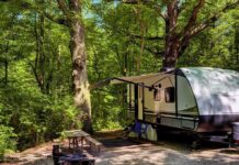 travel trailer parked at a wooded campsite