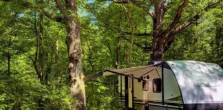travel trailer parked at a wooded campsite
