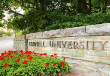 Cornell University stone entrance sign with red flowers