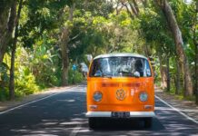 Profit Collapse Puts VW Plants at Risk Orange vintage van driving on a tree-lined road